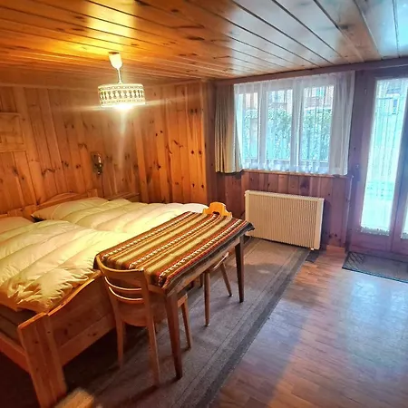 Free Bus Winter Haus Ramona Appartement Saas-Grund